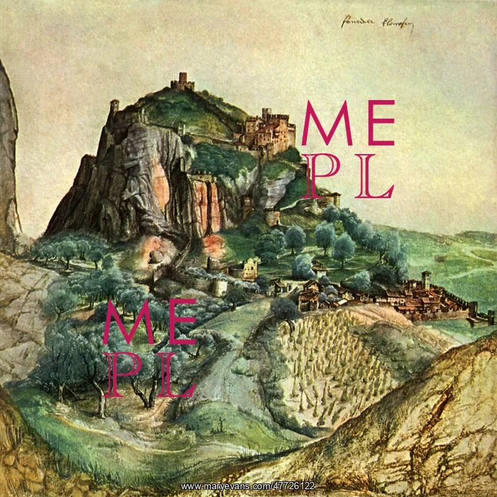  : Venetian Landscape, by Durer