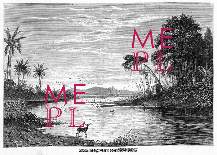  : VENEZUELA ORINOCO