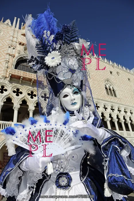  : Venice Carnival Costume