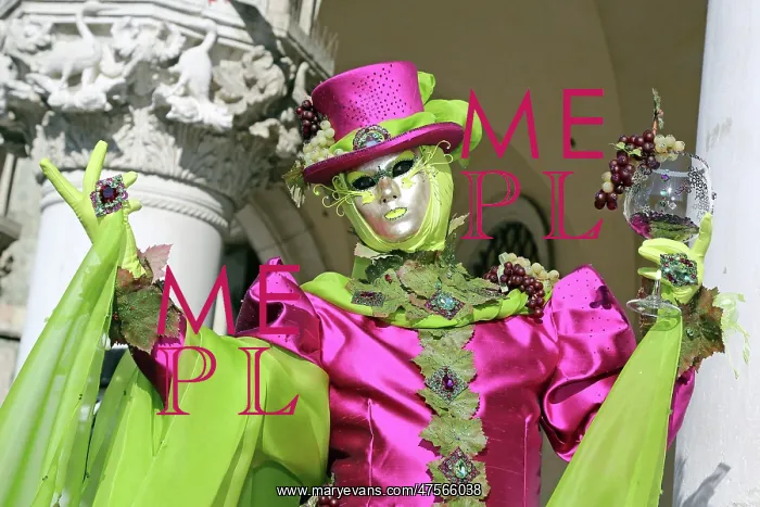  : Venice Carnival Costume
