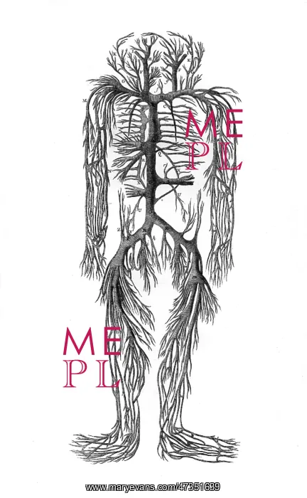 : VENOUS SYSTEM 18TH C : VENOUS SYSTEM 18TH C