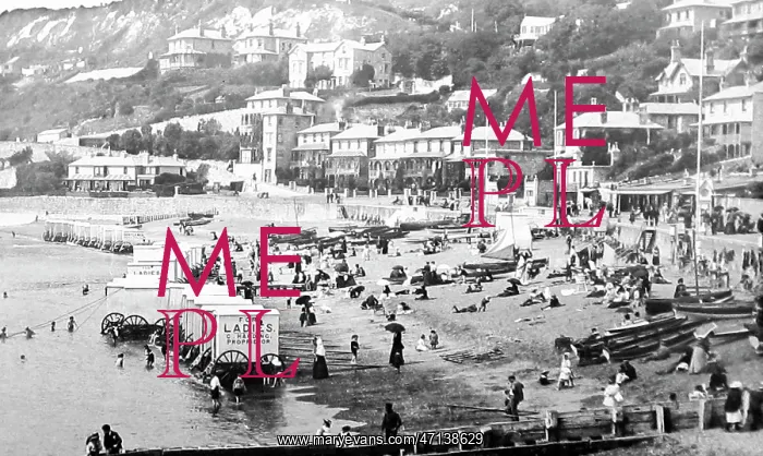  : Ventnor beach, Isle of Wight