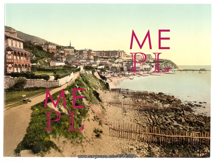: Ventnor, from West Cliff, Isle of Wight, England : Ventnor, from West Cliff, Isle of Wight, England