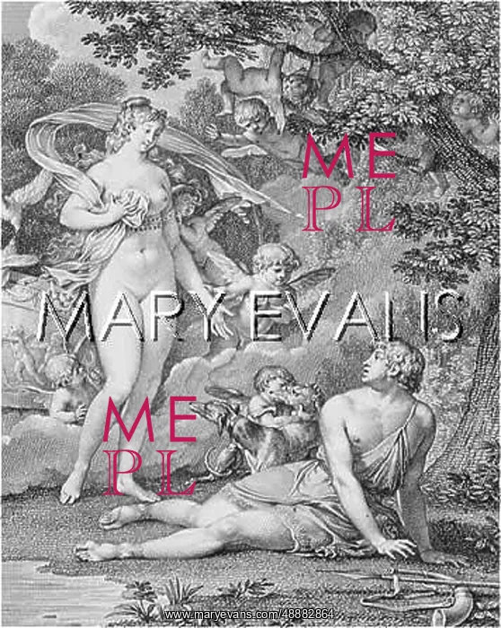  : VENUS AND ADONIS