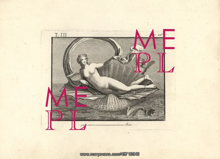 : Venus naked reclining on a seashell : Venus naked reclining on a seashell