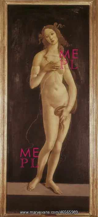 : Venus Pudica, by Botticelli : Venus Pudica, by Botticelli