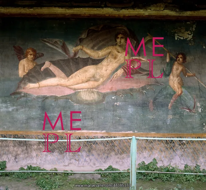 : Venus resting in the shell. House of Venus, Pompei : Venus resting in the shell. House of Venus, Pompei