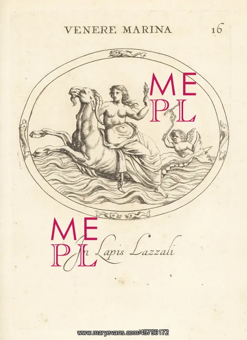 : Venus riding Capricorn in the ocean : Venus riding Capricorn in the ocean