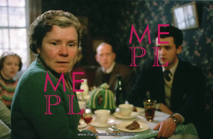 : Vera Drake : Vera Drake