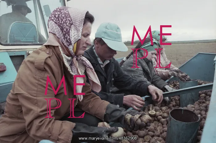 : Vera Private Farm : Vera Private Farm