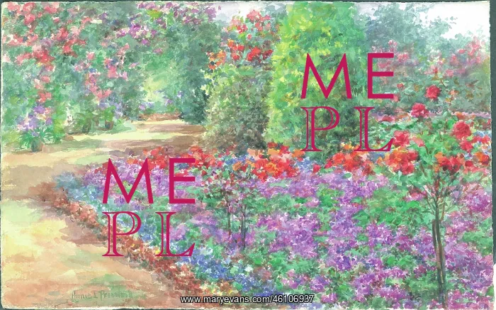 : Verbenas in bloom'. Garden with path and flower borders : Verbenas in bloom'. Garden with path and flower borders