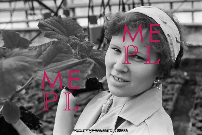 : Verhnemullinskiy Sovkhoz : Verhnemullinskiy Sovkhoz