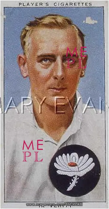 : VERITY / CRICKETER 1938 : VERITY / CRICKETER 1938
