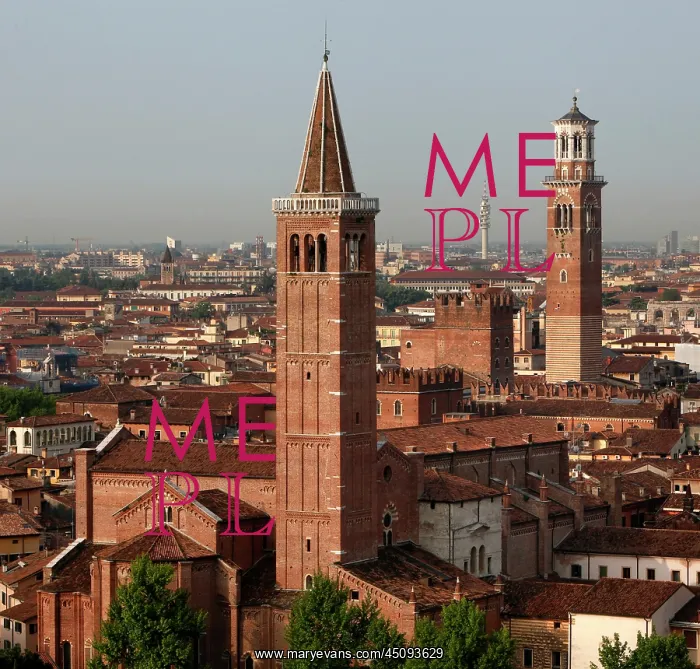 : Verona. High angle view of the Basilica of Saint Anastasia : Verona. High angle view of the Basilica of Saint Anastasia