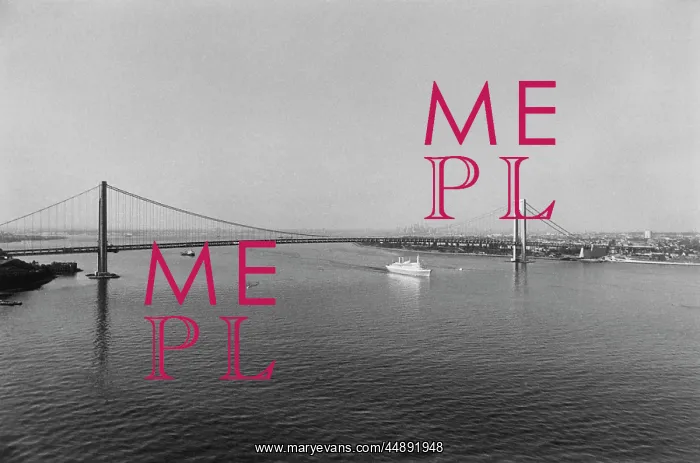 : VERRAZANO BRIDGE : VERRAZANO BRIDGE
