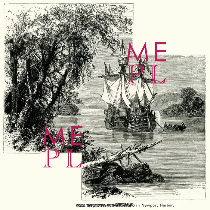 : Verrazzano at Newport Harbour : Verrazzano at Newport Harbour