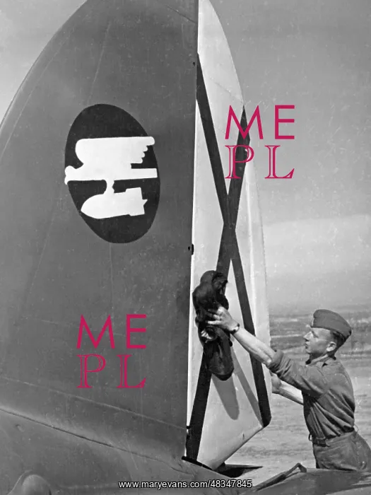 : Vertical stabilizer of a bomber of the Condor Legion, Spain : Vertical stabilizer of a bomber of the Condor Legion, Spain