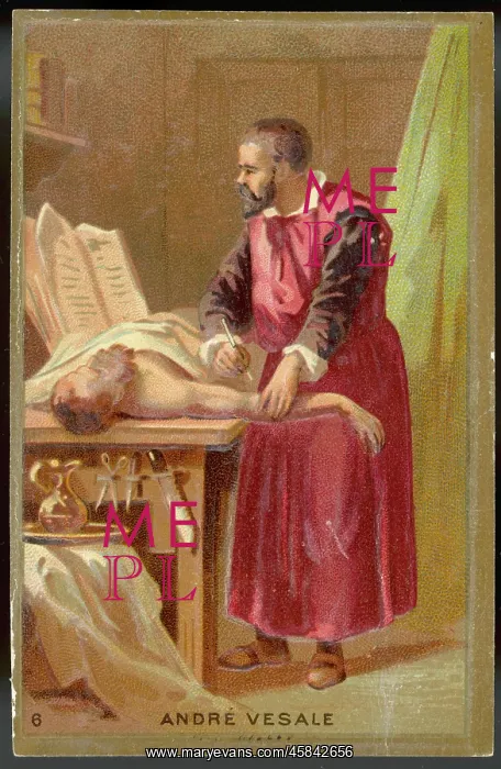 : VESALE DISSECTS CORPSE : VESALE DISSECTS CORPSE