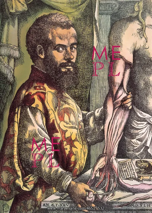 : Vesalius, Andreas (1514-1564) : Vesalius, Andreas (1514-1564)