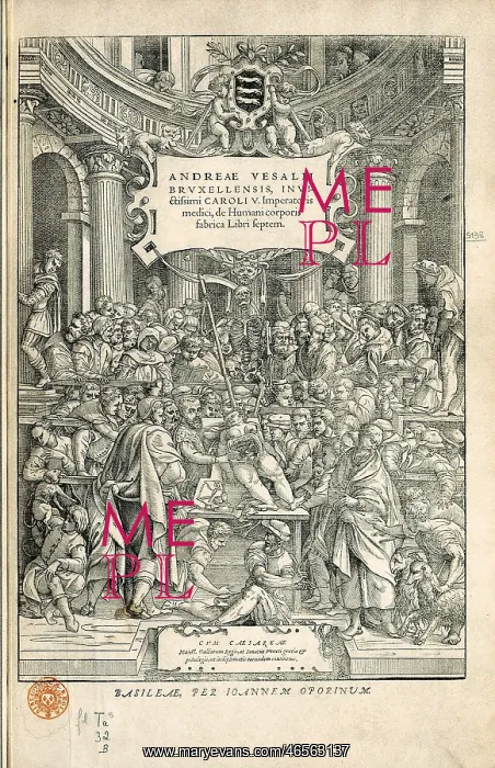 : Vesalius, Andreas (1514-1564) : Vesalius, Andreas (1514-1564)