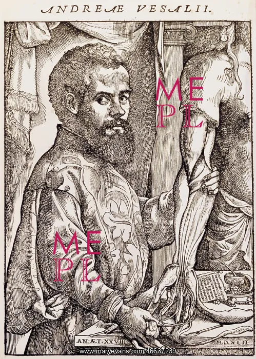 : Vesalius, Andreas, 31.12.1514 - 15.10.1564, Flemish : Vesalius, Andreas, 31.12.1514 - 15.10.1564, Flemish