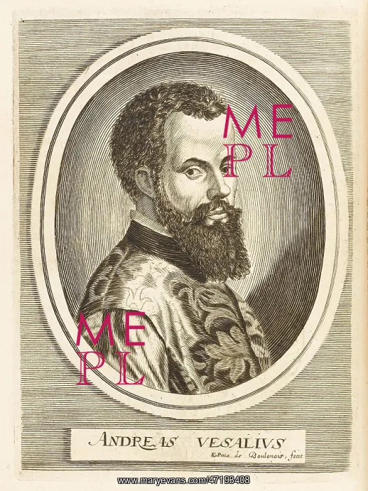  : VESALIUS / BOULONOIS
