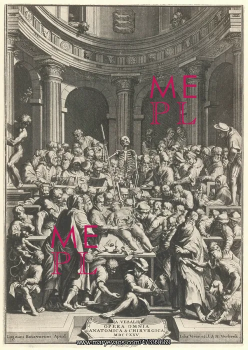 : VESALIUS DEMONSTRATES : VESALIUS DEMONSTRATES