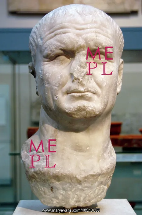 : Vespasian (9-79). Roman Emperor. Bust. Marble. 1st century : Vespasian (9-79). Roman Emperor. Bust. Marble. 1st century