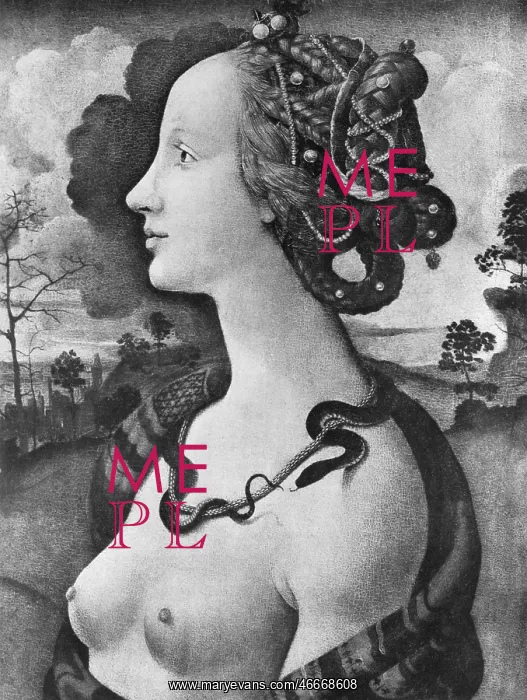 : Vespucci, Simonetta, 28.1.1453 - 26.4.1456, muse : Vespucci, Simonetta, 28.1.1453 - 26.4.1456, muse