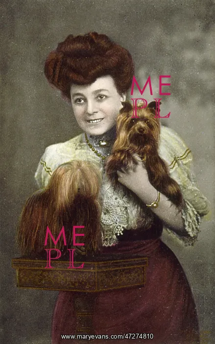  : Vesta Tilley - Dogs