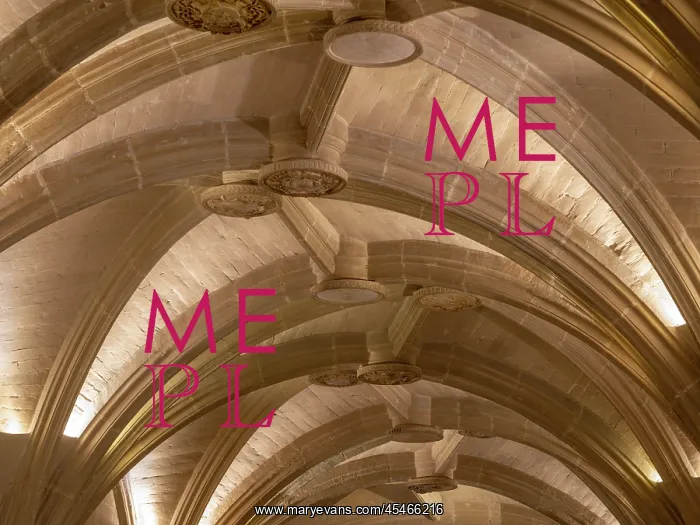 : Vestibule ceiling, Chateau de Chenonceau : Vestibule ceiling, Chateau de Chenonceau