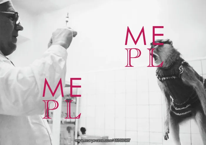 : Veterinary clinic, 1977 : Veterinary clinic, 1977
