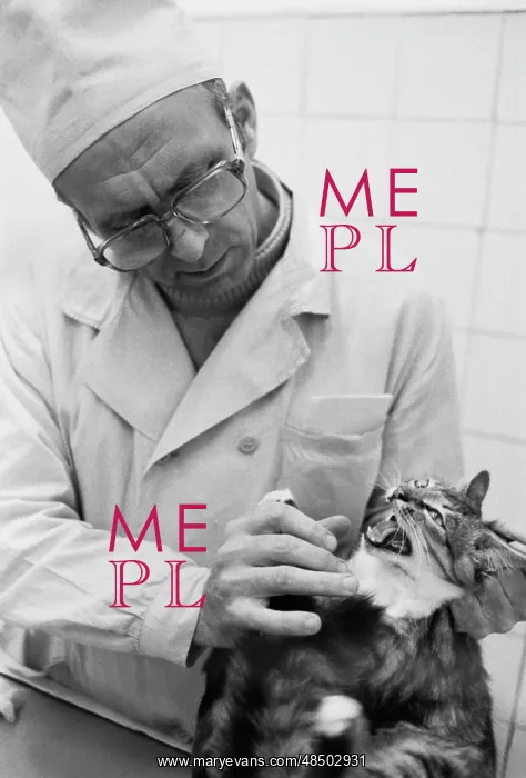 : Veterinary clinic : Veterinary clinic