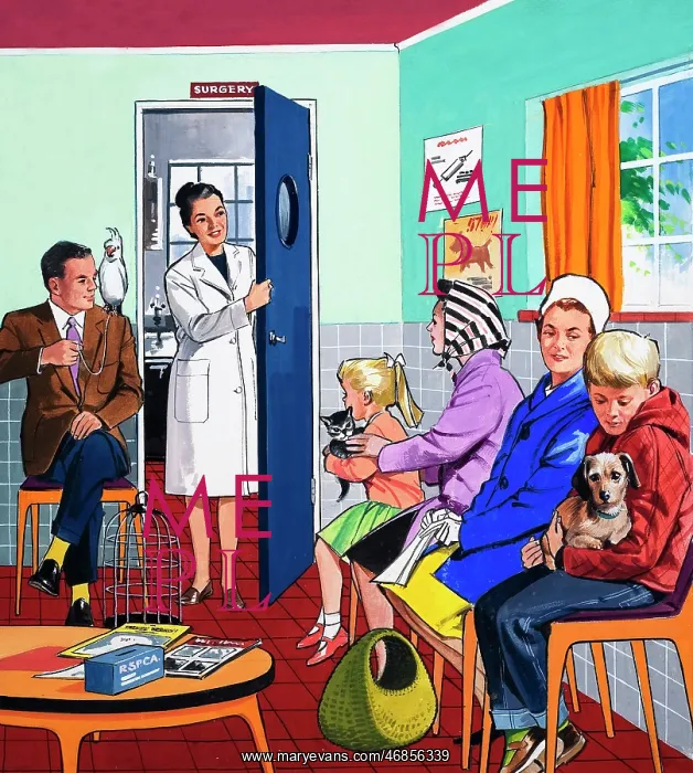  : At the vets