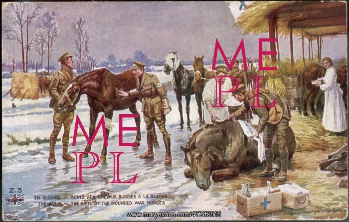 : VETS IN WW1 : VETS IN WW1