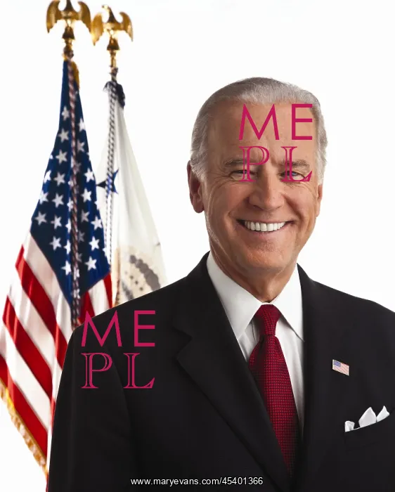 : Vice President Joe Biden in his official first : Vice President Joe Biden in his official first