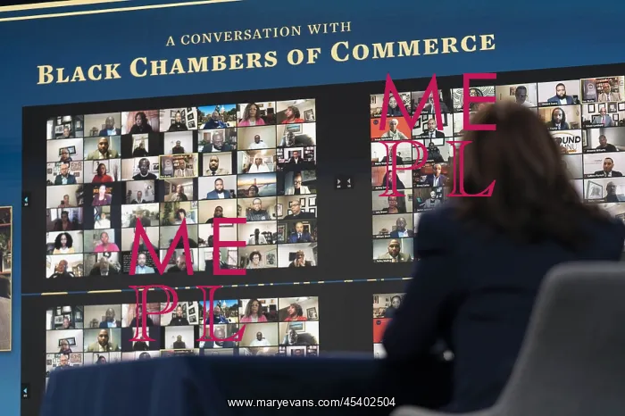 : Vice President Kamala Harris attends a virtual : Vice President Kamala Harris attends a virtual
