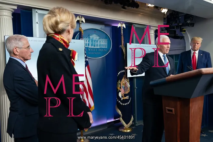: Vice President Mike Pence, the appointed head : Vice President Mike Pence, the appointed head