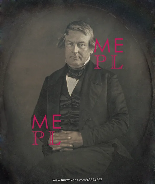 : Vice President Millard Fillmore, in 1849 daguerreotype : Vice President Millard Fillmore, in 1849 daguerreotype