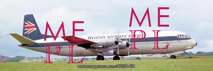 : Vickers 953C Merchantman G-APES : Vickers 953C Merchantman G-APES