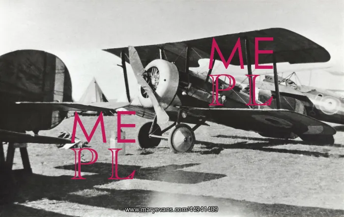 : Vickers F.B.19 Mk 2 / II : Vickers F.B.19 Mk 2 / II