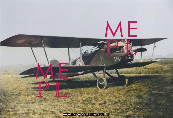 : Vickers FB24C of 1917 was another one-off Vickers type? : Vickers FB24C of 1917 was another one-off Vickers type?
