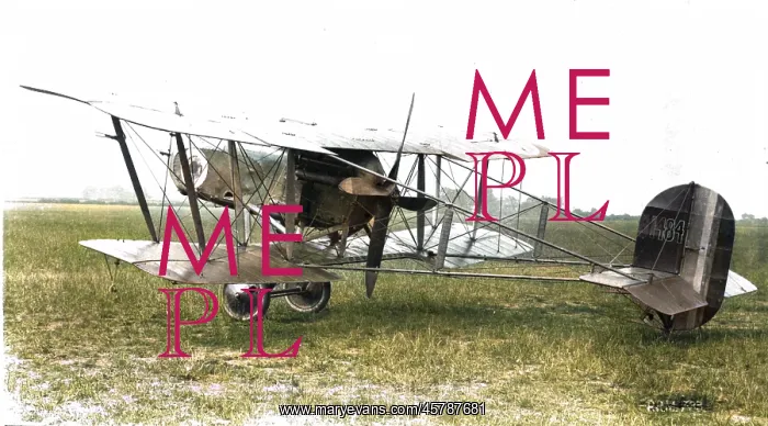 : Vickers FB26 Vampire completed in May 1917, this was th? : Vickers FB26 Vampire completed in May 1917, this was th?
