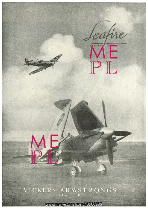 : Vickers-Supermarine Seafire : Vickers-Supermarine Seafire