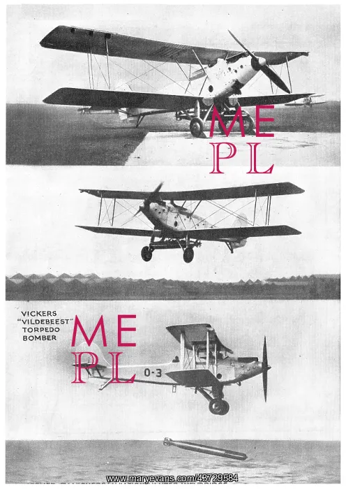 : Vickers Vildebeest : Vickers Vildebeest