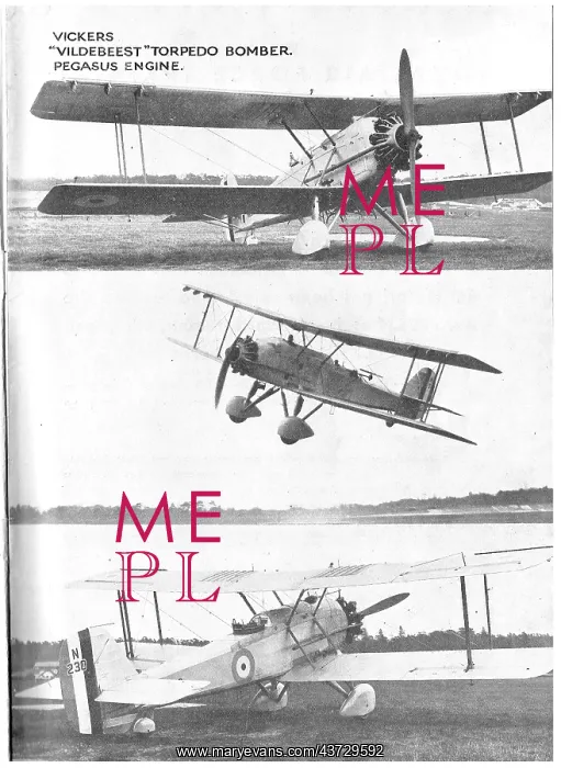 : Vickers Vildebeest : Vickers Vildebeest