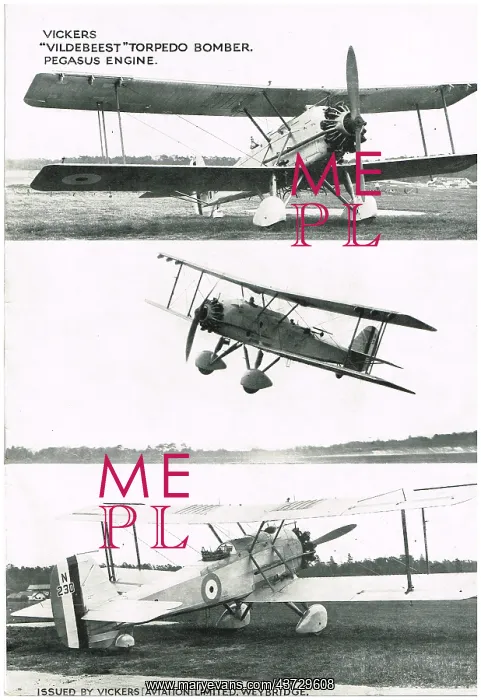 : Vickers Vildebeest : Vickers Vildebeest