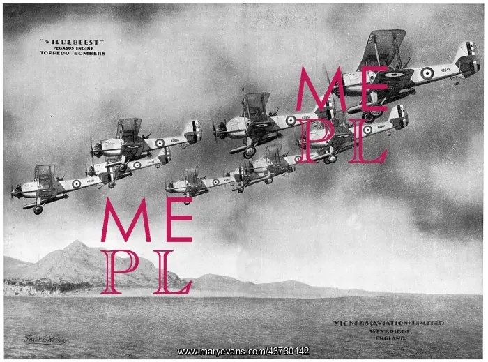  : Vickers Vildebeest
