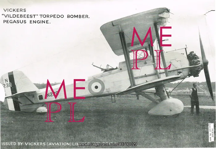 : Vickers Vildebeest N230 : Vickers Vildebeest N230