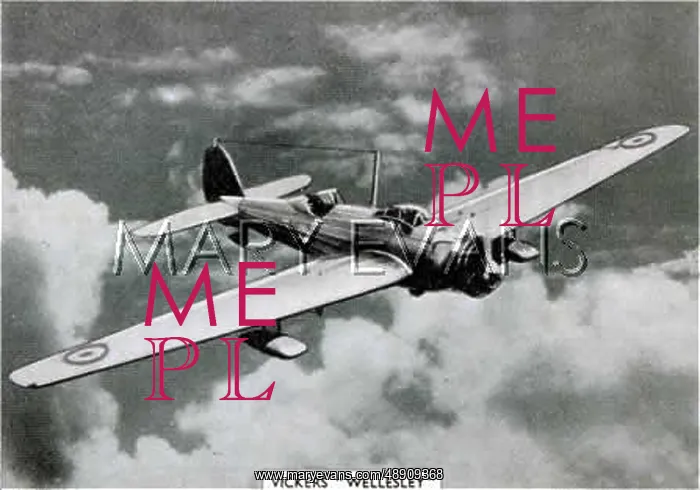: VICKERS WELLESLEY - 2 : VICKERS WELLESLEY - 2